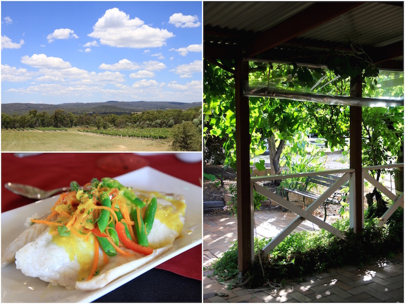 Winery tour in Stanthorpe, Queensland Australia